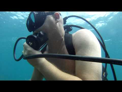 Milo: un tuffo nel blu