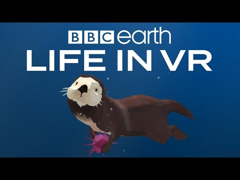 BBC Earth: Life in VR Video