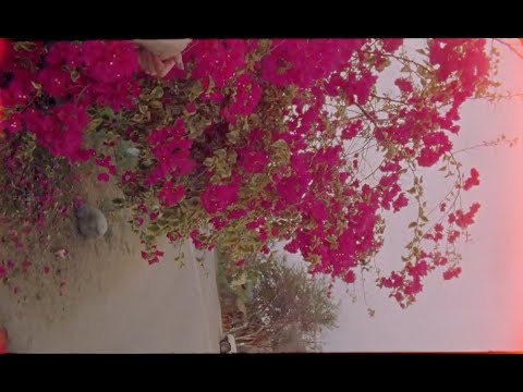 カナダのニューカマー Loving、デビューアルバム『If I Am Only My Thoughts』をリリース！ | indienative