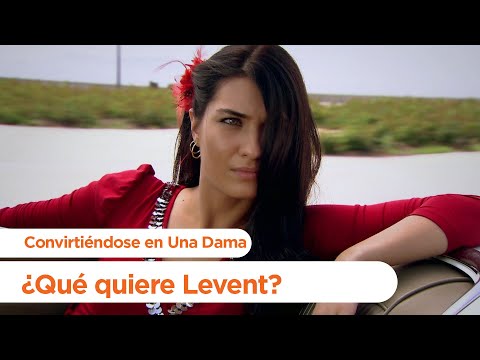 ¿Qué quiere Levent? - Gönülcelen