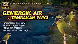 Download lagu 🔴 LIVE Masteran Pleci Tembakan Joss Sebagai Terapi Gacor !!! mp3
