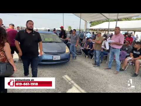 Express Auto Auction