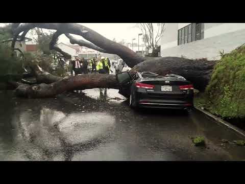 In Slide: A film by Robert Firth