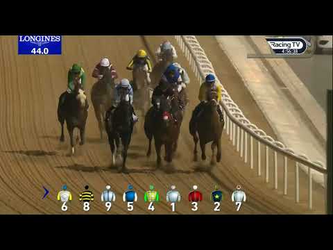 2023 02 /10/R6/William  Buick/Tall boy/Age3/T. Doug F O Neil 1600m @Meydan