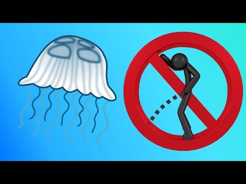 13 LIES You Still Believe!