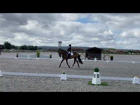 Dressage prova Iniciados 3 - PSL Herdeiro
