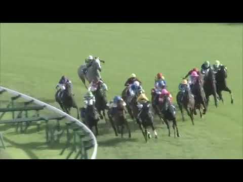 2021.04.18 Satsuki Sho (Japanese 2000 Guineas) - Efforia