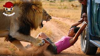 75 Most BRUTAL ANIMAL ATTACKS Caught on Camera #2