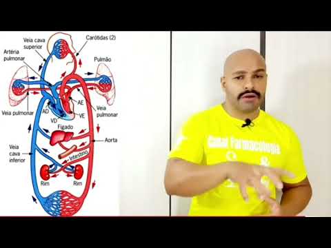 Farmacologia e Você - Pressão Média