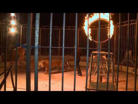 Al Jazeera Svijet 12.04.15 - Nedjelja 21:30