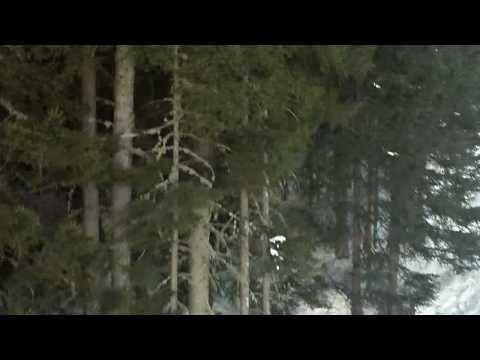 Marilleva 1400 - Sulla seggiovia