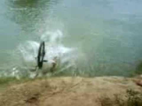 Ratza din balteni cade in cap in dambovita