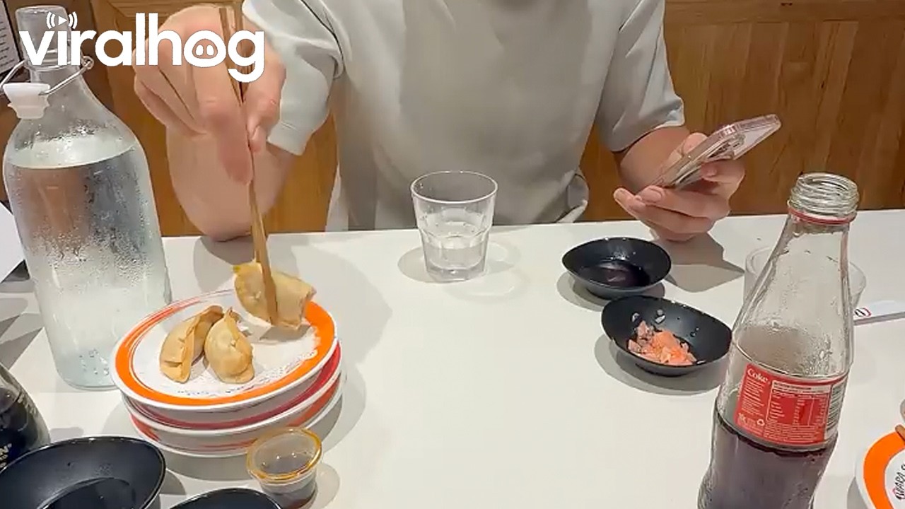 Progressively Worse Dumpling Fumble || ViralHog