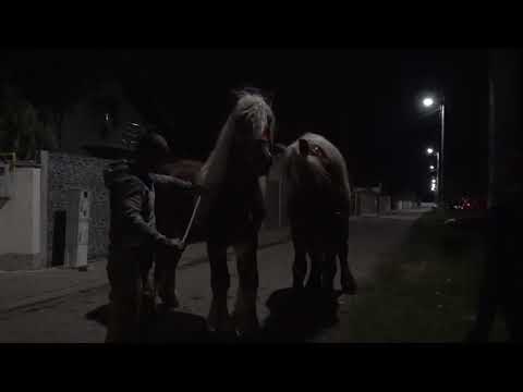 Armasarii lui Adi de la Tampa, Hunedoara - 2025 Nou!!!