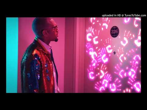 Chris Brown - Privacy (Explicit Version)
