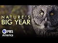 Nature S Big Year 2022 Full Documentary