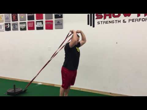 Tricep Extension Sled Drag