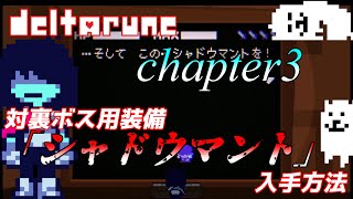 【Deltarune Chapter3】シャドウマント入手までの完全解説動画！！【デルタルーン　日本語訳】