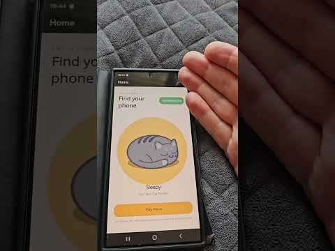 Cat in Phone: Voice Finder video thumbnail