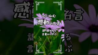 恋愛も人生も、答えは “言葉” にある No.422｜ アントワーヌ・ド・サン＝テグジュペリの名言で心を整える