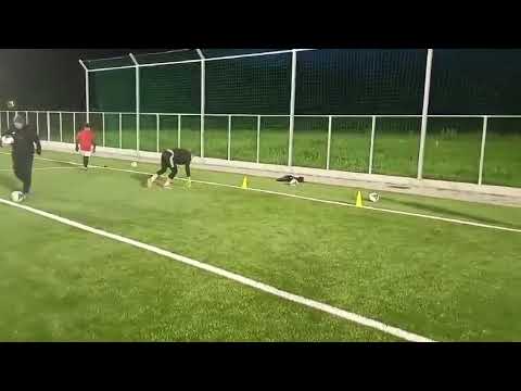 Miniatură video