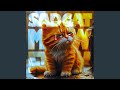 Sad Cat Meow Funk