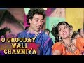 O Chooday Wali Chammiya Jaya Prada Sunny Deol Veerta 1993 Bollywood Songs