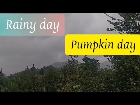Pumpkin day in the villages of Iran