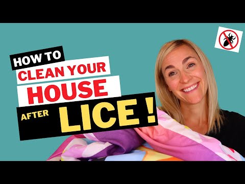 How to Clean Your House After Lice Tutorial