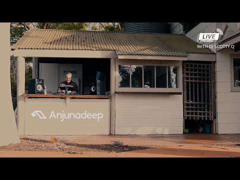 Beats in the Forest #5 🎧- anjunadeep edition w/ DJ Scotty Q