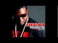 SHAWTY LO FT TWISTA & WALE-POCAHONTAS