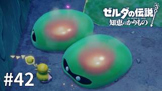 ゼルダの伝説 知恵のかりもの #42【赤いところは特に弱点じゃなかった】