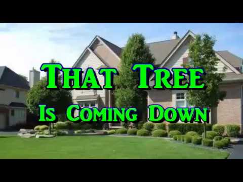 Homeowners Association - That Tree Is Coming Down