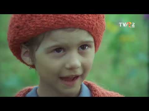 Dumbrava minunată (1980)