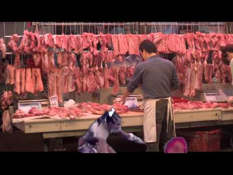 What really happened during NU's performance at the UAAP-CDC 2015