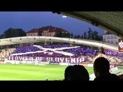 Koreografija Viole Maribor 1989 NK Maribor vs. Rangers FC 16.8.2018