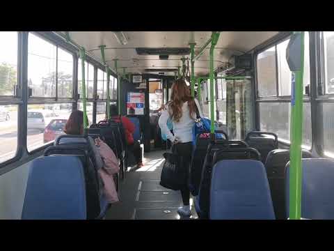 Ikarus 260.46 (BPO-358) [225-ös buszvonal] BRUTÁL HANG!