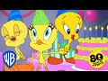 Looney Tunes Happy Birthday Tweety WB Kids