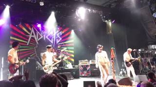 The Adicts - Angel / I Am Yours Live @ El Rey Theater 10.29.16