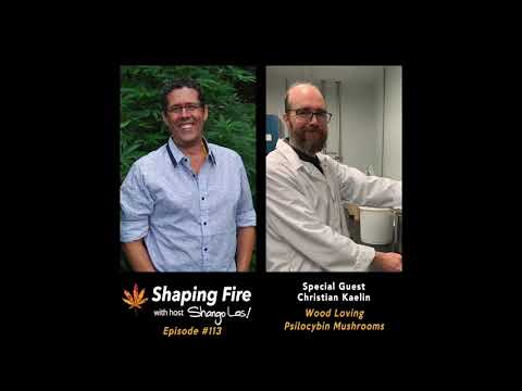 Shaping Fire EP113 Wood Loving Psilocybin Mushrooms with guest Christian Kaelin