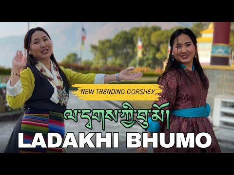 New Gorshey 2024 (Ladakhi Bhumo) ལ་དྭགས་ཀྱི་བོུ། @lobsangtsetan5467  ladakhi song | tibetan song 🫧