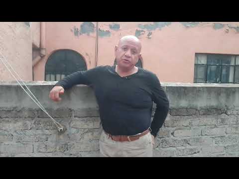 ventajas y desventajas de tener un shitzu