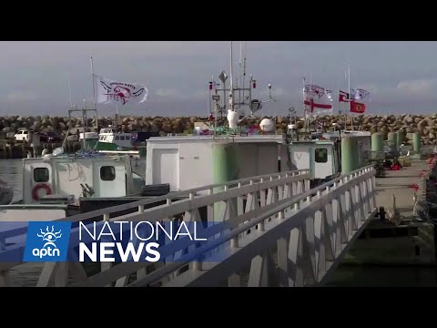 RCMP only charging 3 non-Indigenous fishers for violence ‘speaks volumes’ says chief | APTN News