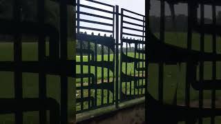 Golf Course Punjab | Golf Club | Golf Resort | RCF