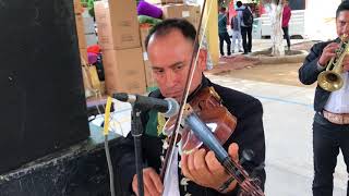 la bikina - mariachi