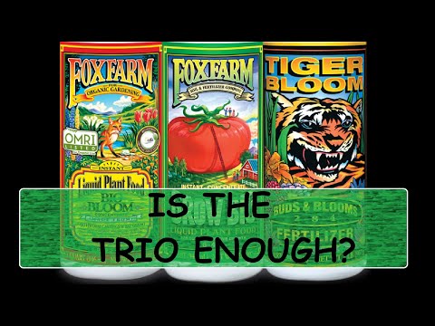 Fox Farm - Is the Trio Pack Good Enough?