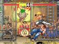 Fighters History Karnov S Revenge Matches 23 30