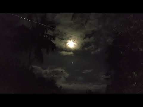 Night moon sky//....moon light #moon #sky #new #newvideo #video #viral #viralvideo