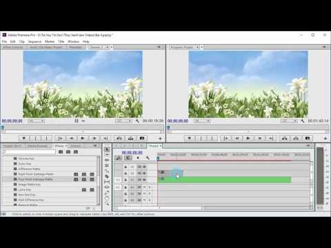 Adobe Premiere: Bài 4. Cắt ghép 4 Videos lên cùng một màn hình