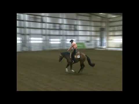 Memorable Revolution and John Weber 2019  North Central Affiliate Finals